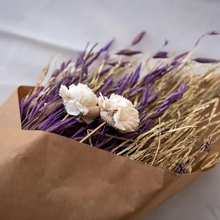 Appartement Stadium - Free Parking *